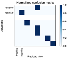 Doctors Sentiment Analysis Using  Machine Learning